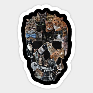 Cat Skull Sticker